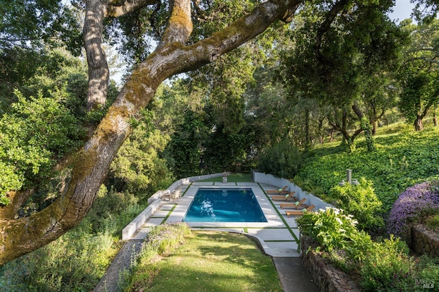 2480 Spring Mountain Rd, Saint Helena, CA 94574 - view of pool featuring a wooded view
