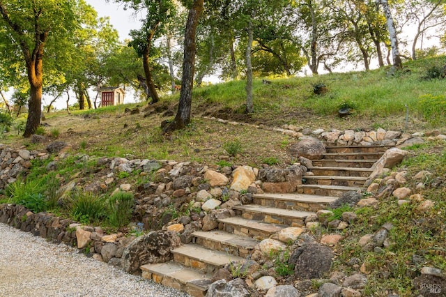 2480 Spring Mountain Rd, Saint Helena, CA 94574 - view of yard featuring stairs