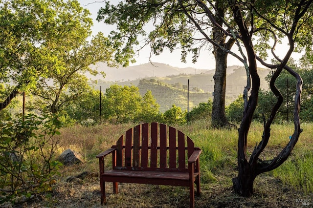 2480 Spring Mountain Rd, Saint Helena, CA 94574 - view of community with a mountain view