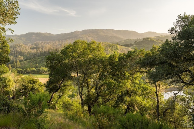 2480 Spring Mountain Rd, Saint Helena, CA 94574 - view of mountain backdrop