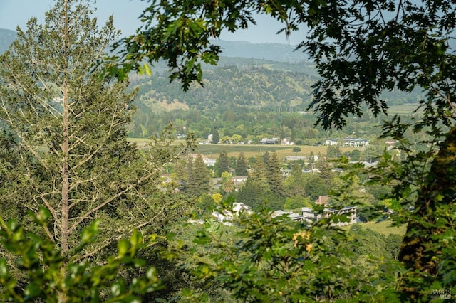 2480 Spring Mountain Rd, Saint Helena, CA 94574 - view of mountain backdrop with a heavily wooded area