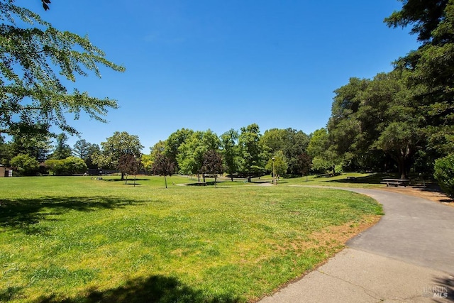 728 Walnut Ct, Novato, CA 94945 - view of community featuring a lawn and view of scattered trees