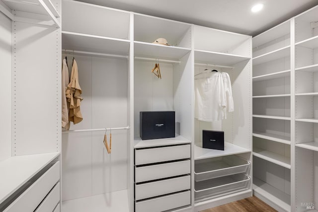 spacious closet featuring wood finished floors