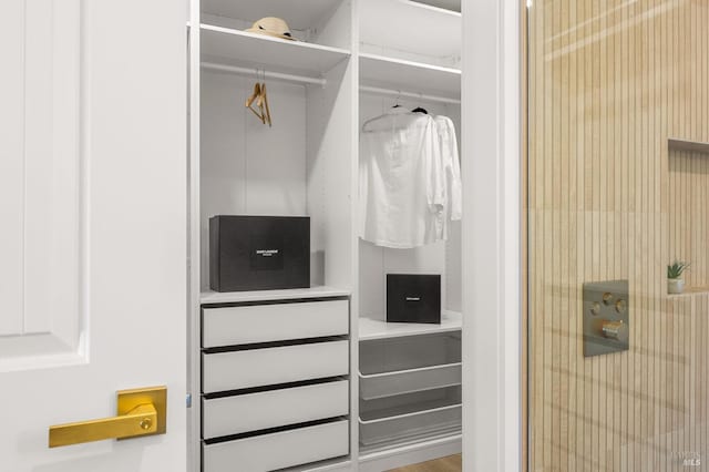 view of closet