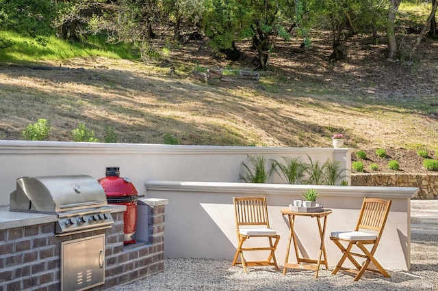 view of patio / terrace with area for grilling and exterior kitchen