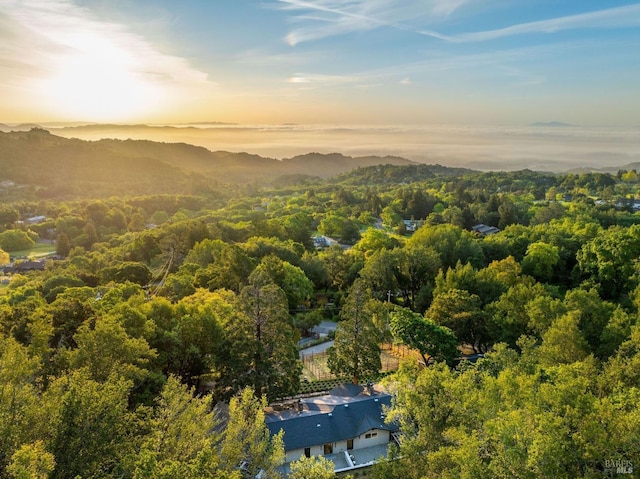 bird's eye view featuring a forest view