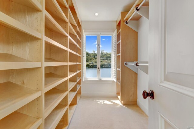 72 Lagoon Rd, Belvedere, CA 94920 - walk in closet with carpet flooring