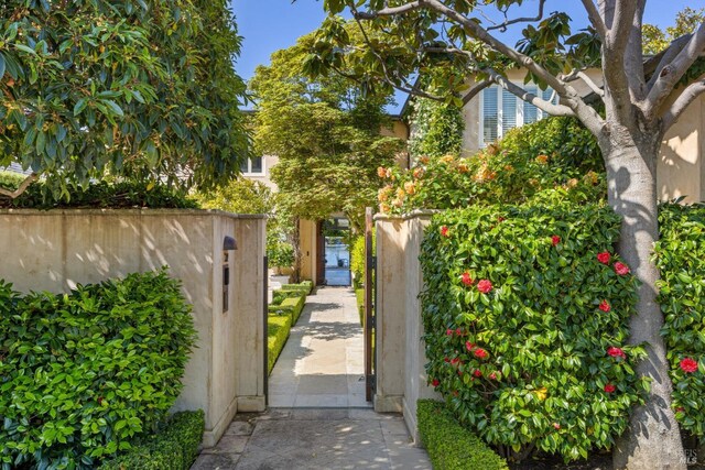 72 Lagoon Rd, Belvedere, CA 94920 - gate with fence