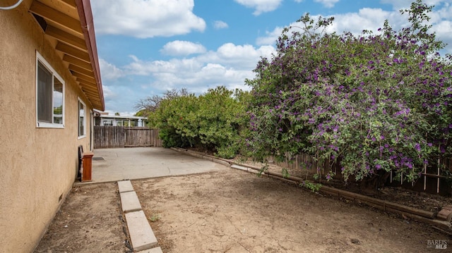 view of yard with a patio and a fenced backyard