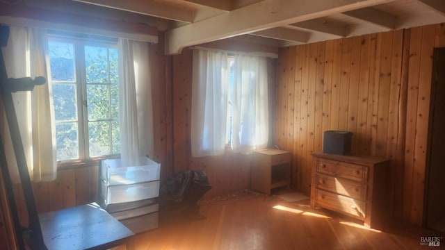 dining space featuring wood walls, wood finished floors, and a wealth of natural light