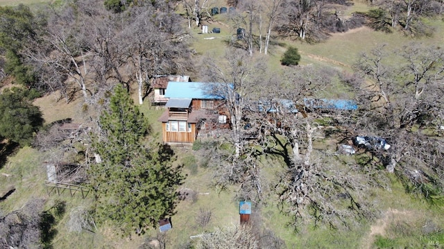 aerial view