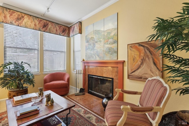 sitting room with a high end fireplace, rail lighting, and ornamental molding