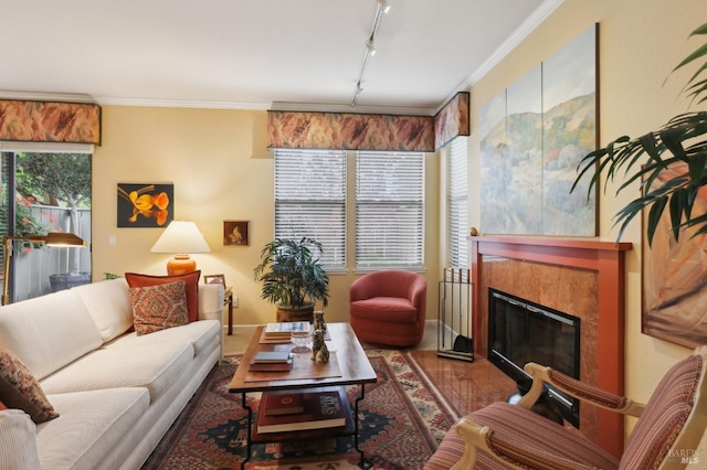 living room with track lighting, wood finished floors, a fireplace, and ornamental molding