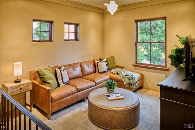 living area with carpet floors and ornamental molding