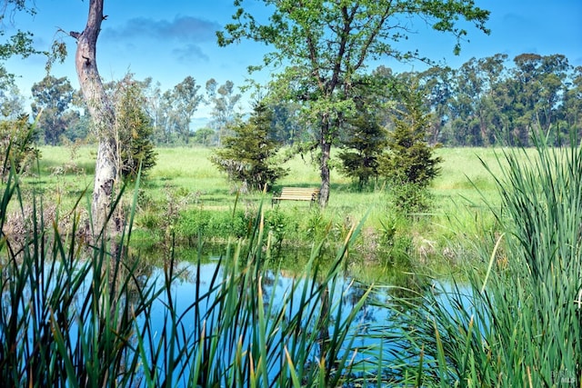 water view