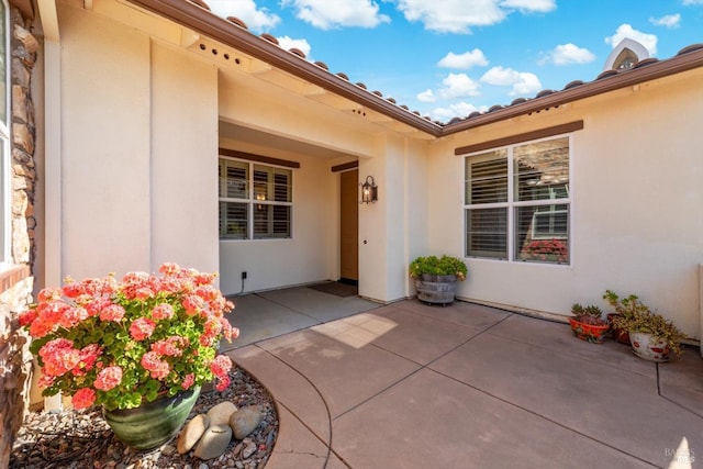 entrance to property featuring a patio area and stucco siding