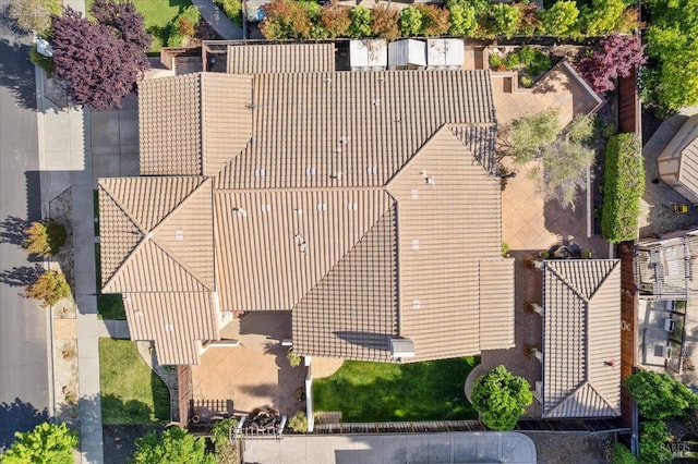 bird's eye view
