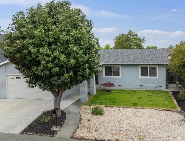 view of front of property with concrete driveway, a shingled roof, and a front lawn