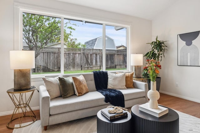 living room featuring baseboards, wood finished floors, and a wealth of natural light
