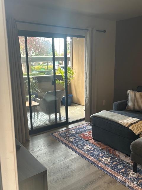 entryway featuring wood finished floors and a wealth of natural light