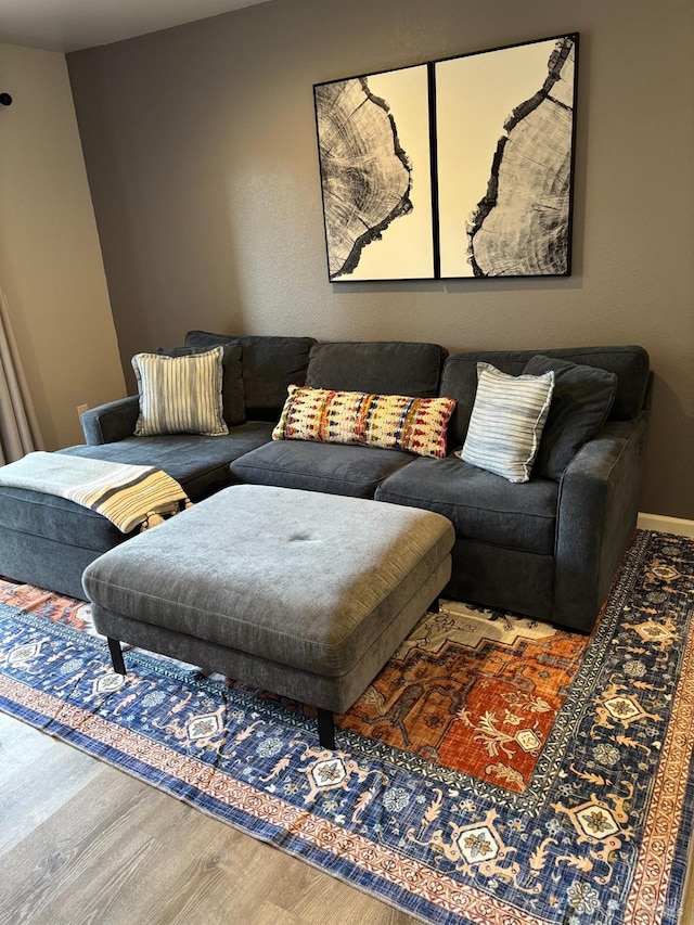 living room with wood finished floors