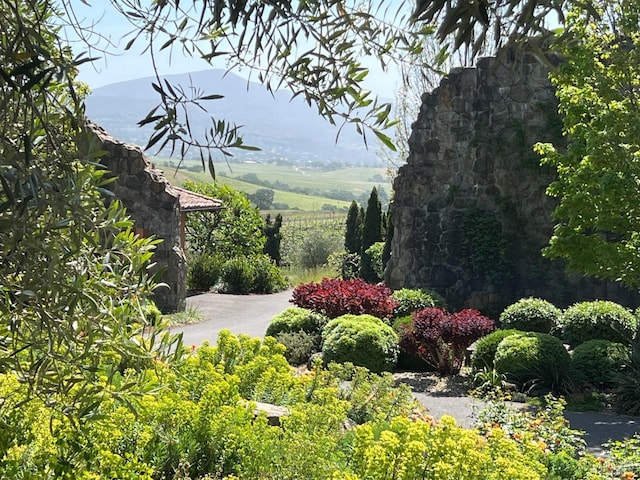 view of property's community with a mountain view