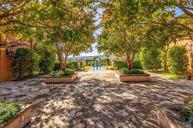 view of yard with a patio