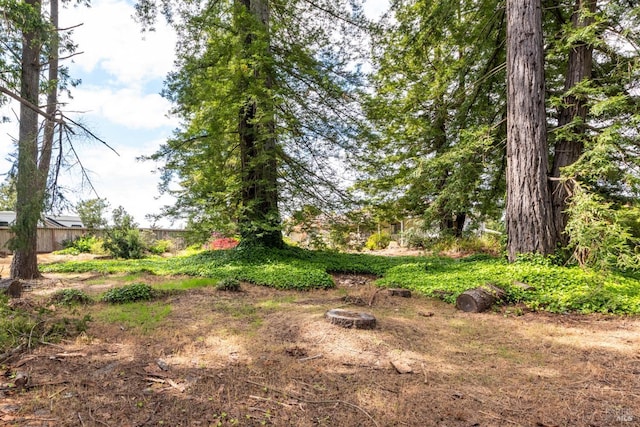 5320 Mcfarlane Rd, Sebastopol, CA 95472 - view of yard