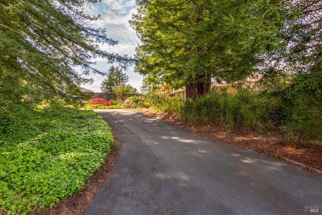 5320 Mcfarlane Rd, Sebastopol, CA 95472 - view of street