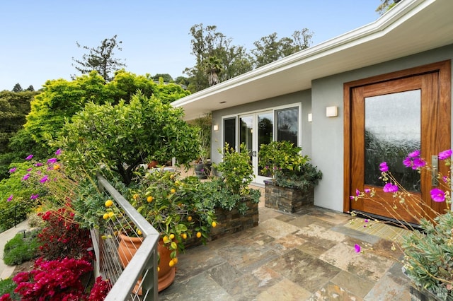 entrance to property featuring stucco siding and a patio area