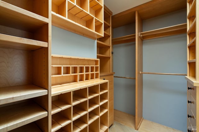 view of spacious closet