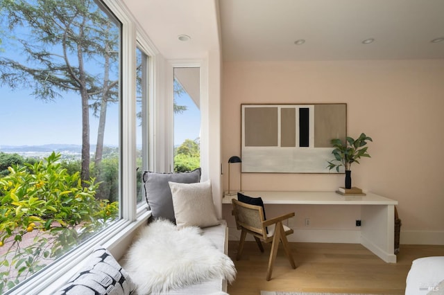 sunroom with plenty of natural light