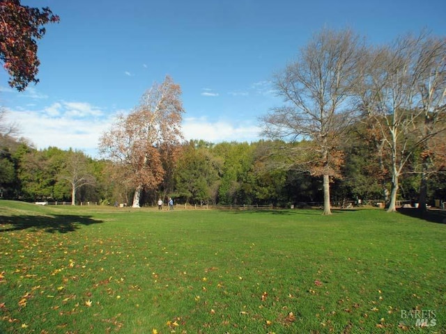 view of home's community with a yard