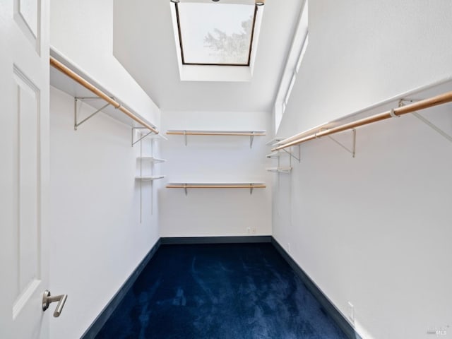 spacious closet featuring a skylight and dark colored carpet