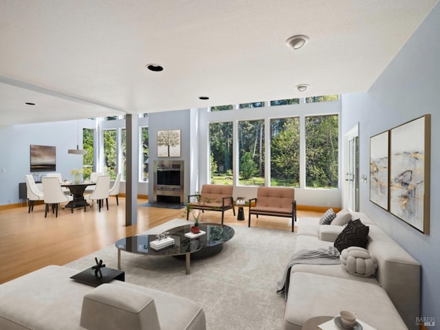 living room with wood finished floors