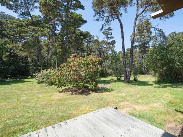 view of yard featuring a deck