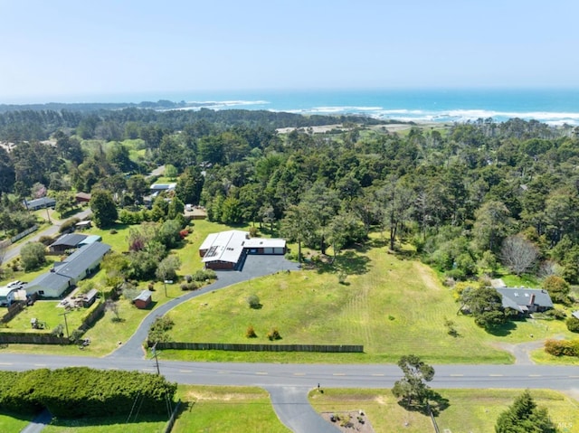 birds eye view of property with a water view and a forest view