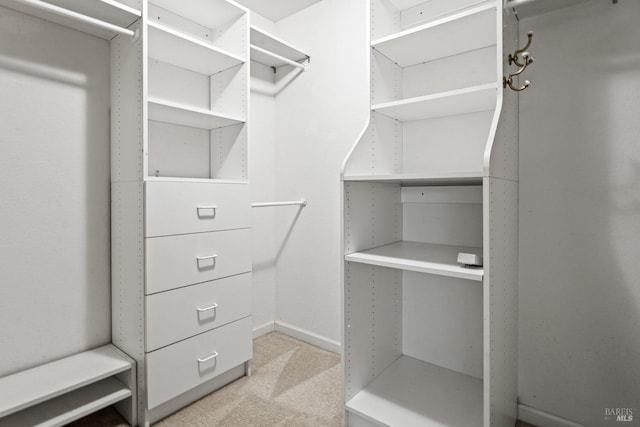 walk in closet featuring light colored carpet