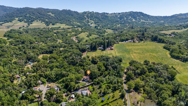 drone / aerial view with a mountain view