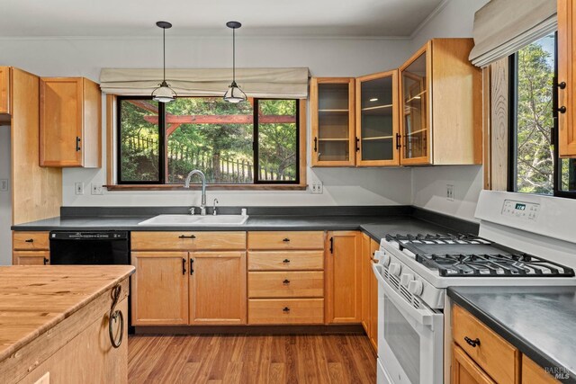 kitchen with ornamental molding, wood finished floors, gas range gas stove, a sink, and dishwasher