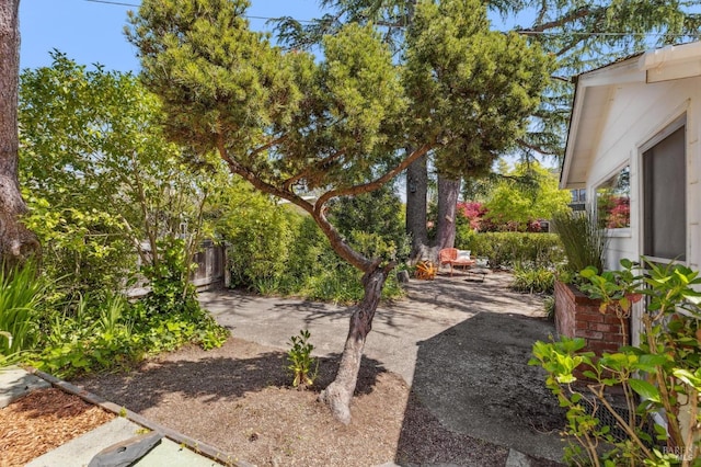 view of yard featuring a patio area