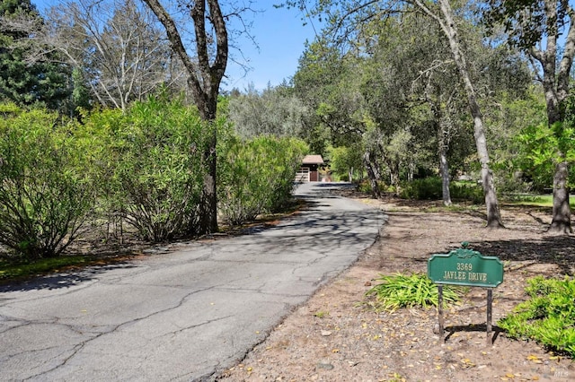 view of street with driveway