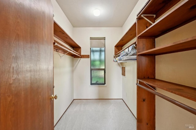 walk in closet featuring light carpet