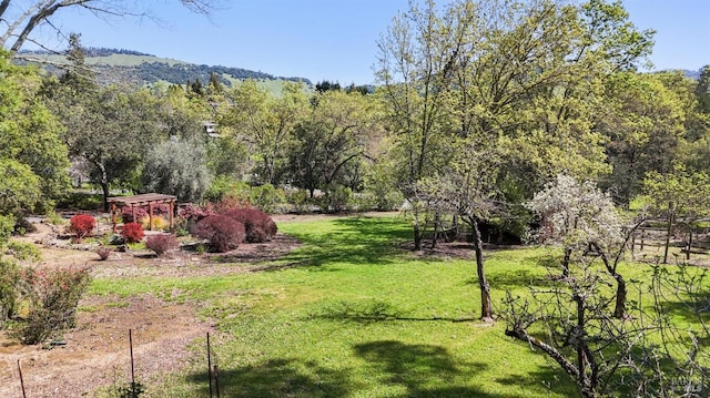 view of yard featuring a forest view
