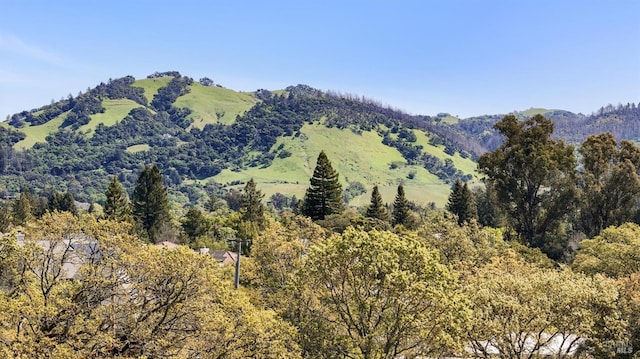 property view of mountains featuring a forest view