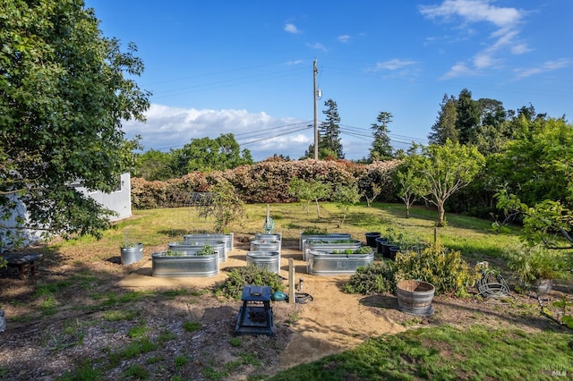 2855 Old Gravenstein Hwy, Sebastopol, CA 95472 - view of grassy yard featuring a vegetable garden