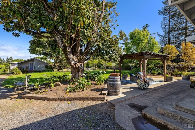 2855 Old Gravenstein Hwy, Sebastopol, CA 95472 - view of green lawn featuring a pergola and a patio area