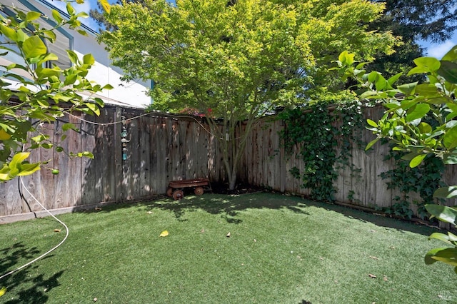 view of yard featuring a fenced backyard