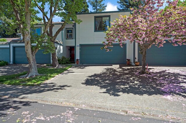 2204 Marylyn Cir, Petaluma, CA 94954 - fenced backyard featuring a patio