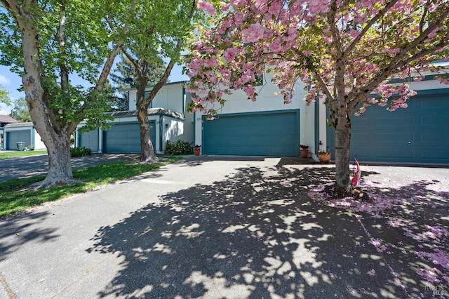view of property hidden behind natural elements featuring a garage and driveway